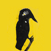 Tsibi Geva | Publications